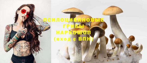 гидропоника Бугульма