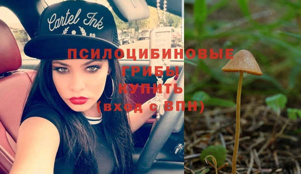 не бодяженный Бронницы